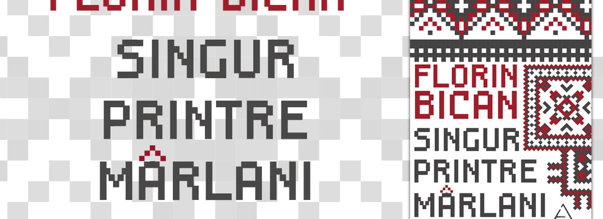 Autorul lunii ianuarie - Florin Bican