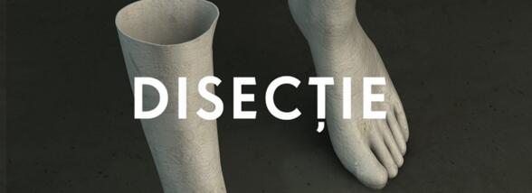 &bdquo;Disecție&rdquo;, Han Kang - o introspecție de Andreea Dumitrescu