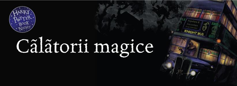 Cum ar călători un Mageamiu în lumea vrăjitorilor și a vrăjitoarelor? #2