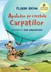 Apolodor pe crestele Carpaților