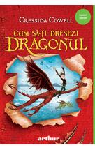 Cum să-ți dresezi dragonul