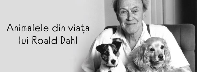 Animalele din viața lui Roald Dahl