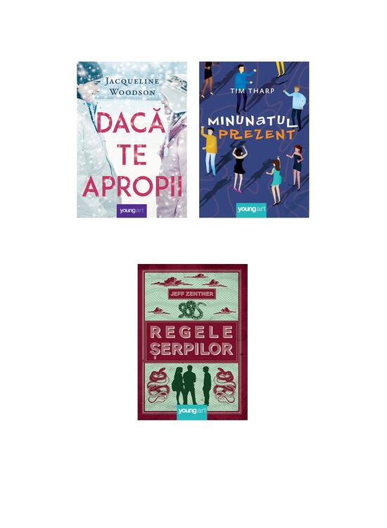 Pachetul Teenage Dream (3 volume) - gallery big 5