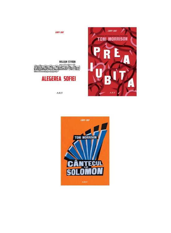 Pachet Cărți premiate (3 volume) - gallery big 5