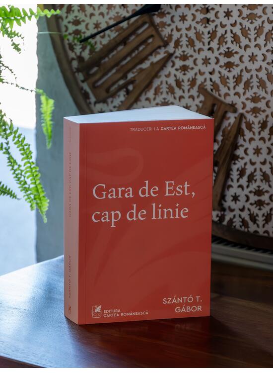 Gara de Est, cap de linie - gallery big 2