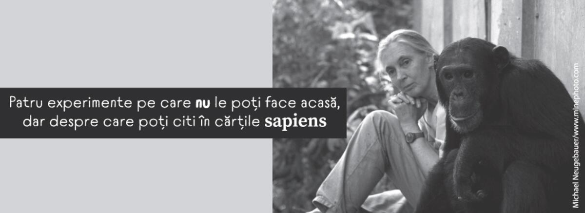 Patru experimente pe care nu le poți face acasă, dar despre care poți citi &icirc;n cărțile Sapiens