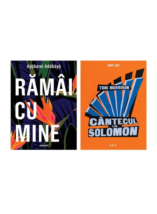 Pachet Black Literature Matters (2 volume) - gallery big 2
