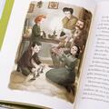 Pachet ilustrator Dan Ungureanu (Morcoveață, Comoara din insulă, Cinci copii și-un spiriduș) - gallery small 