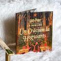 Un Crăciun la Hogwarts. Din Harry Potter și piatra filosofală - gallery small 