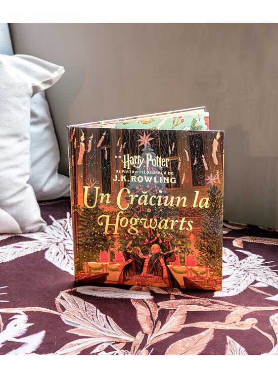 Un Crăciun la Hogwarts. Din Harry Potter și piatra filosofală - gallery big 6
