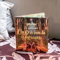 Un Crăciun la Hogwarts. Din Harry Potter și piatra filosofală - gallery small 