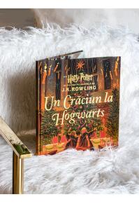 Pachet Crăciun magic Harry Potter ( Crăciun la Hogwarts, Un an magic)
