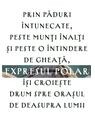 Pachet Chris Van Allsburg ( Expresul Polar, Jumanji) - thumb 4