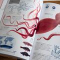 Pachet Superanimale 2 volume ( Istoria lumii în 100 de animale, Cele mai mari) - gallery small 