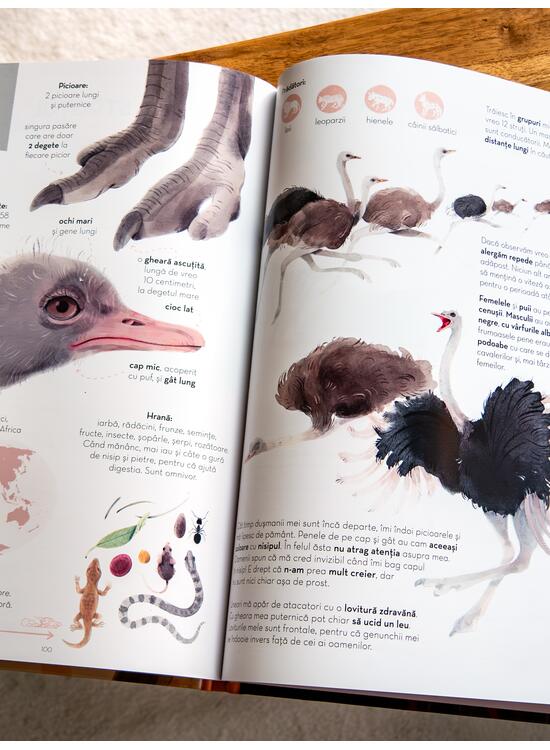 Pachet Superanimale 2 volume ( Istoria lumii în 100 de animale, Cele mai mari) - gallery big 5