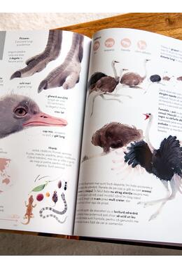Pachet Superanimale 2 volume ( Istoria lumii în 100 de animale, Cele mai mari)