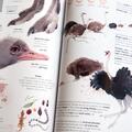 Pachet Superanimale 2 volume ( Istoria lumii în 100 de animale, Cele mai mari) - gallery small 