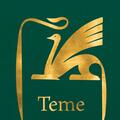 Pachet Critic ( Istoria literaturii, Teme) - gallery small 
