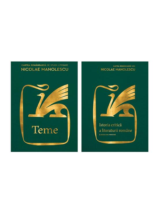 Pachet Critic ( Istoria literaturii, Teme) - gallery big 4