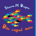Pachet Smart ( Insula orfanilor, Din capul meu, Fuga la muzeu, Billy Miller) - gallery small 