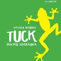 Pachet Cărțile de aur ale copilăriei ( Karlsson, Tuck, Fuga la muzeu, Doamna Doubtfire) - gallery small 