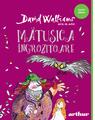 Pachet Walliams Funny Green (Domnul Sconcs, Mătușica îngrozitoare, Băiatul cu rochie, Băiatul Miliardar) - thumb 3