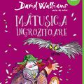 Pachet Walliams Funny Green (Domnul Sconcs, Mătușica îngrozitoare, Băiatul cu rochie, Băiatul Miliardar) - gallery small 