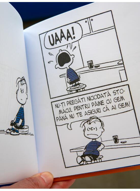 PEANUTS. Ghiduri pentru viață. Viața prin ochii lui Linus - gallery big 4