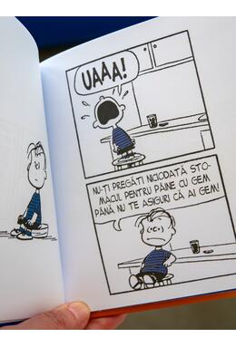 PEANUTS. Ghiduri pentru viață. Viața prin ochii lui Linus