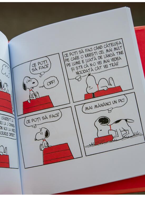 PEANUTS. Ghiduri pentru viață. Filozofia lui Snoopy - gallery big 5
