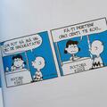 PEANUTS. Ghiduri pentru viață. Ghidul Peanuts pentru prietenie - gallery small 