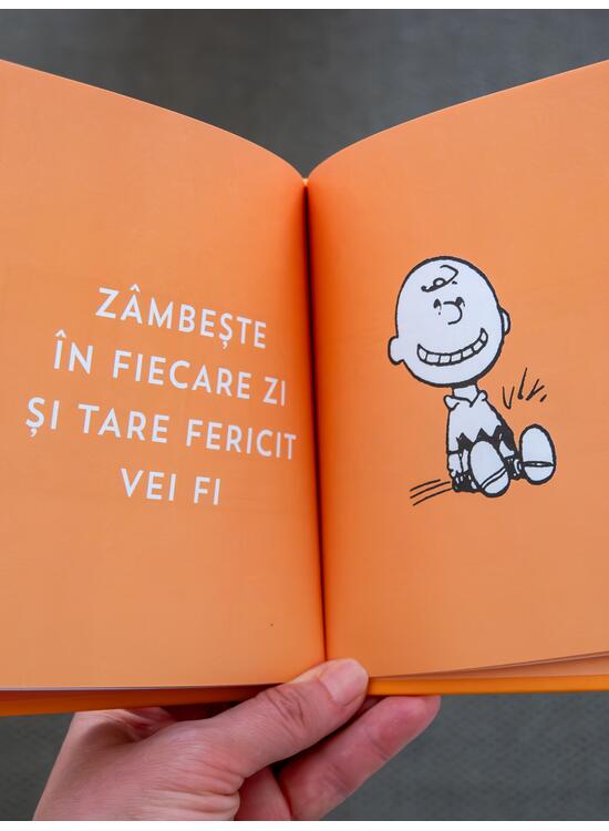 PEANUTS. Ghiduri pentru viață. Ghidul Peanuts pentru fericire - gallery big 4