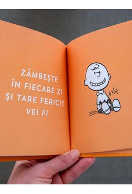 PEANUTS. Ghiduri pentru viață. Ghidul Peanuts pentru fericire