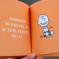 PEANUTS. Ghiduri pentru viață. Ghidul Peanuts pentru fericire - gallery small 
