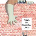 Zidul din mijlocul cărții - gallery small 