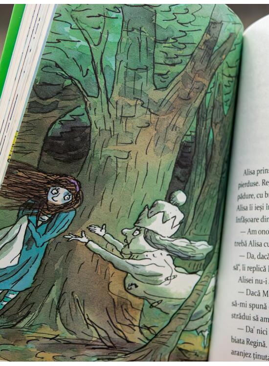 Alisa în Țara Oglinzii | paperback - gallery big 5