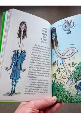 Aventurile Alisei în Țara Minunilor | paperback