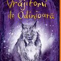 Vrăjitorii de odinioară - gallery small 