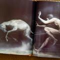 Mitologie nordică. Ediție ilustrată - gallery small 