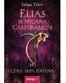 Elias şi spioana Cărturarilor IV. Cerul după furtună - thumb 1