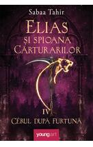 Elias şi spioana Cărturarilor IV. Cerul după furtună