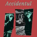 Pachet Mihail Sebastian (Orașul cu salcâmi, Accidentul) - gallery small 