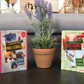 Pachet Minți geniale 3 volume (paperback) - gallery small 