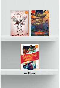Pachet Orange Fantasy ( Neadaptații magici, Reckless, Lalani și marea cea îndepărtată)