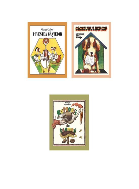 Pachet cu animale de lângă casă ( 3 volume) - gallery big 5