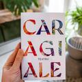 Teatru | paperback - gallery small 