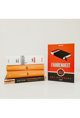 Pachet Bradbury  (Fahrenheit 451, Omul ilustrat, Vin de păpădie)