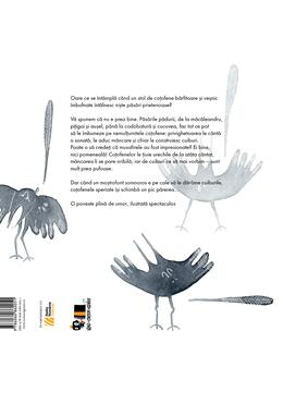 Pachet educativ păsări (Coțofenele clănțănitoare, După bufnițe)