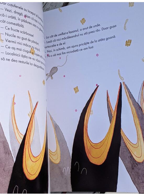 Pachet educativ păsări (Coțofenele clănțănitoare, După bufnițe) - gallery big 5