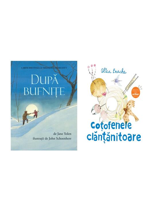 Pachet educativ păsări (Coțofenele clănțănitoare, După bufnițe) - gallery big 7